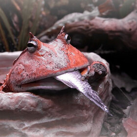 ���� ����� ����� ������