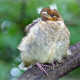 ������  ��������