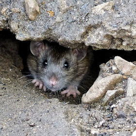 ��������� ���� ���!