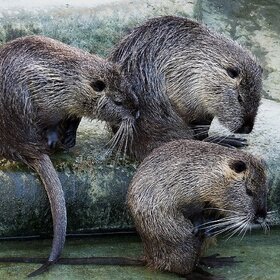 ��� ���?