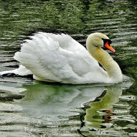 ������ ����� ������...