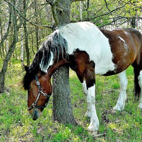 ���������  ����� ���!