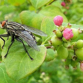 ���� � �������������