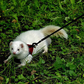 �� ����� ������ ������...