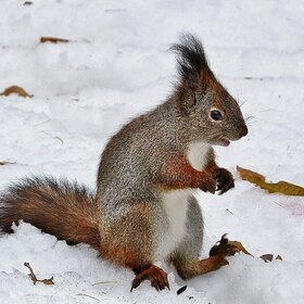 ��� ������ ������!