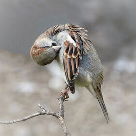 ��� ��� ������?