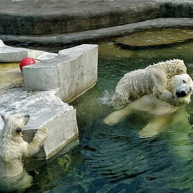 ���� �������!