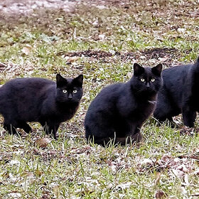 �Ѩ ��� ���������!