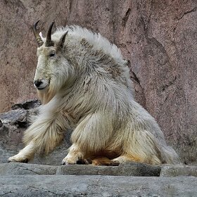 �� ����� ���������